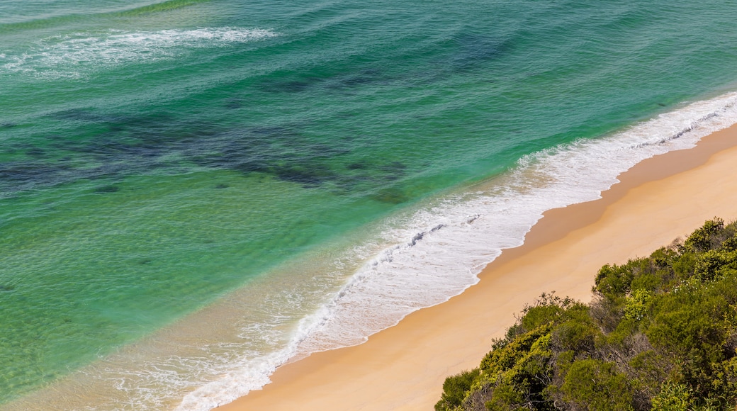 Ben Boyd National Park