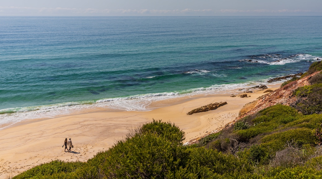 Ben Boyd National Park