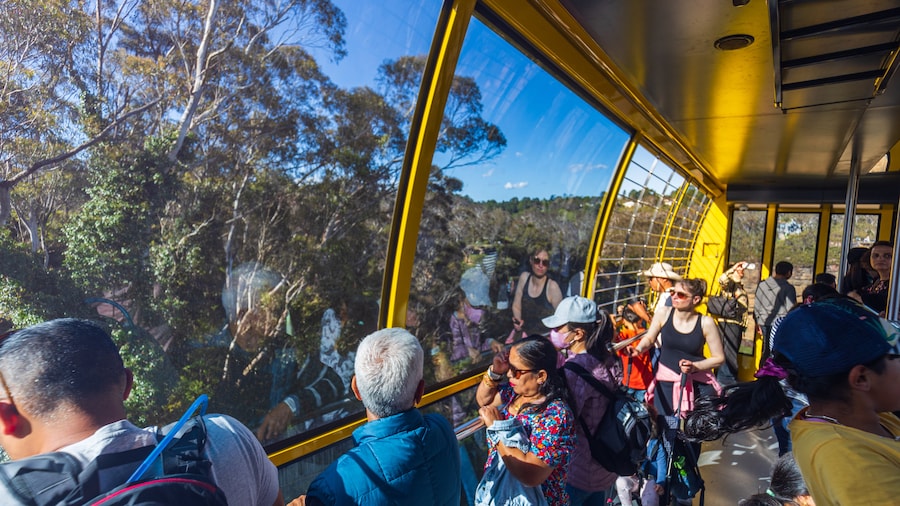Katoomba Scenic World