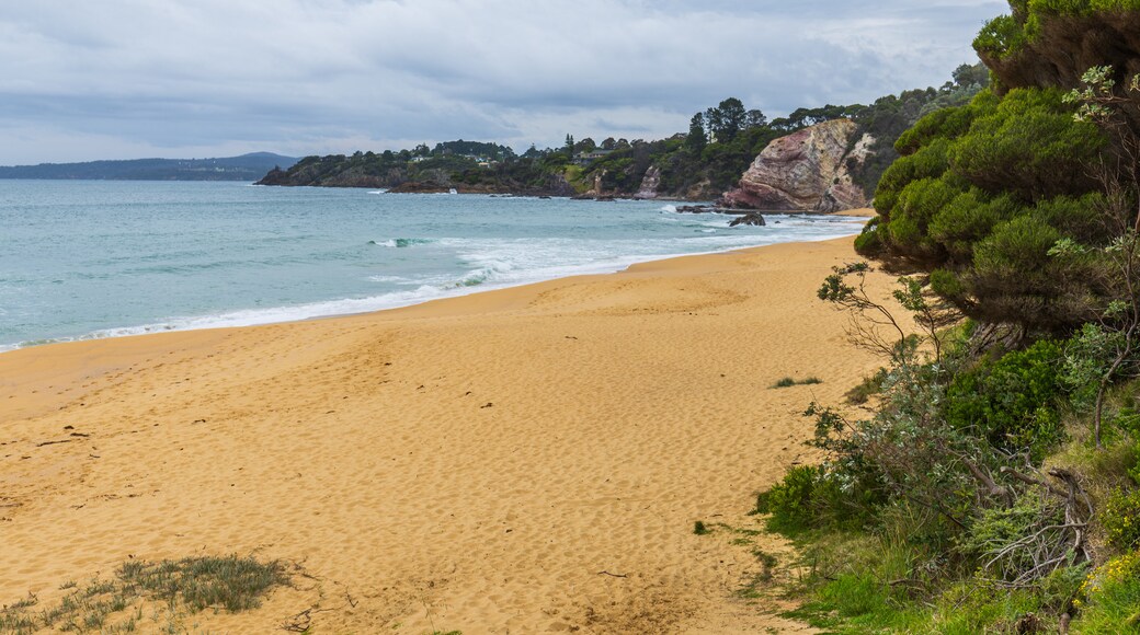 Ben Boyd National Park