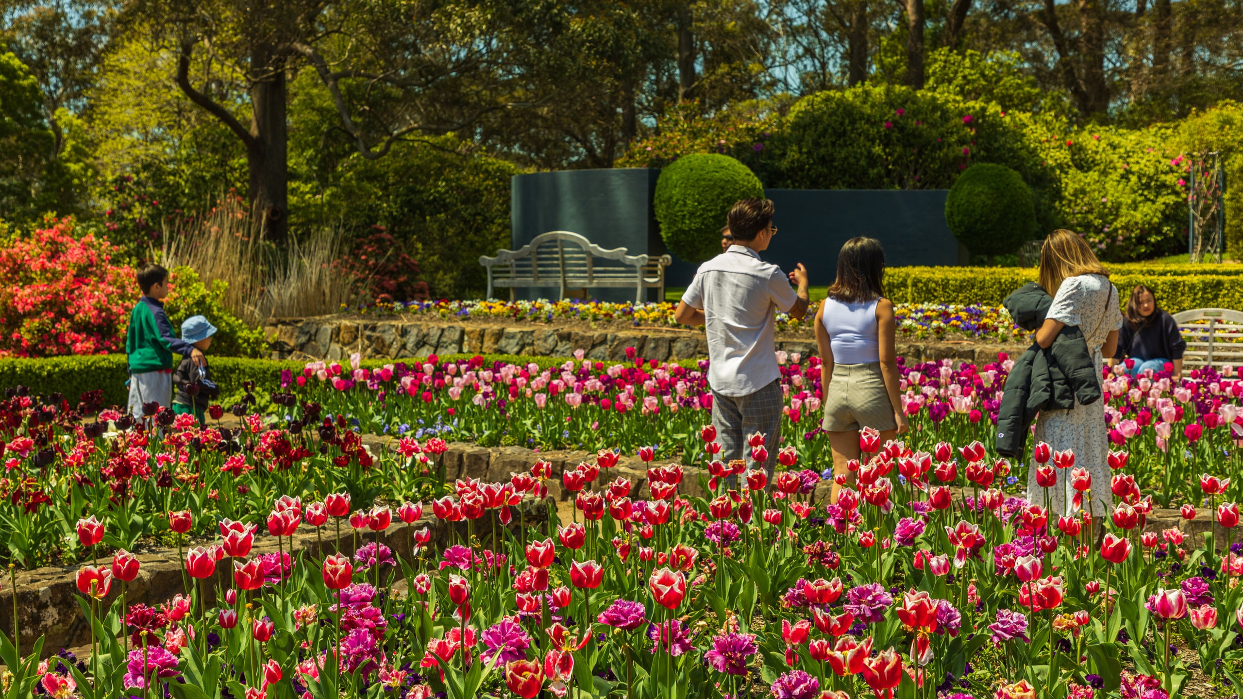 New South Wales Flower Festival Best Flower Site
