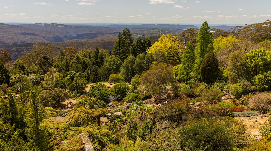 Parque nacional Wollemi