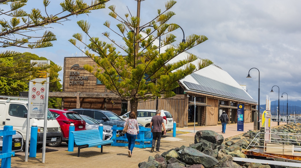 Eden Wharf featuring a coastal town as well as a couple