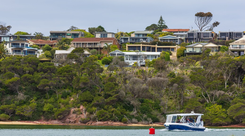 Main Beach Recreation Reserve