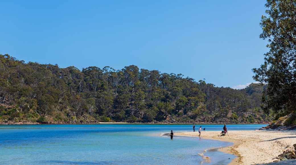 Pambula