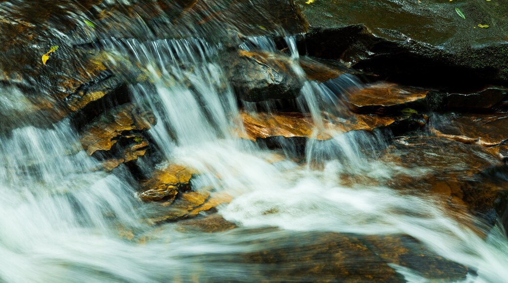 Terrace Falls Reserve