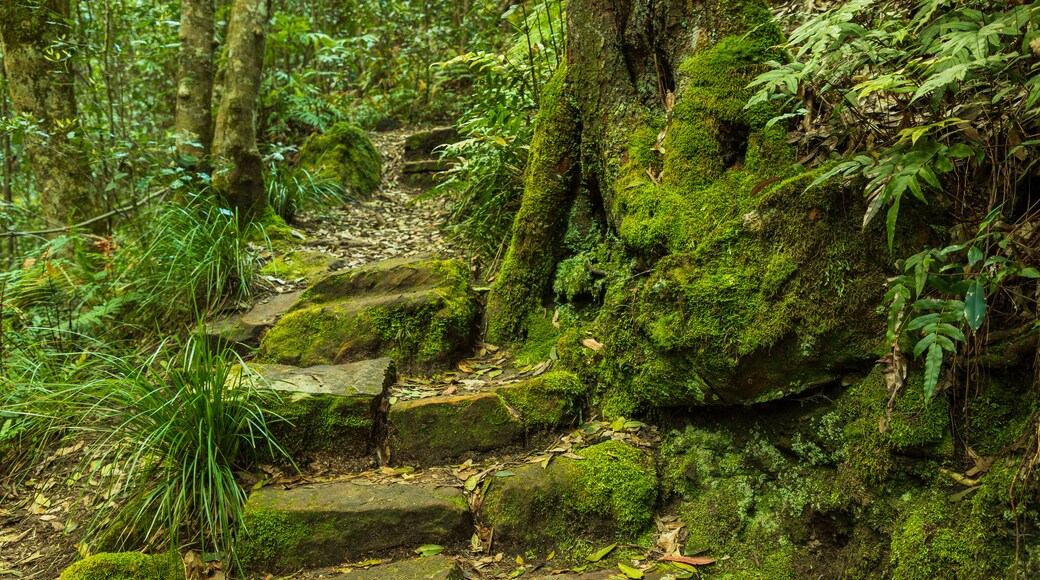 Terrace Falls Reserve