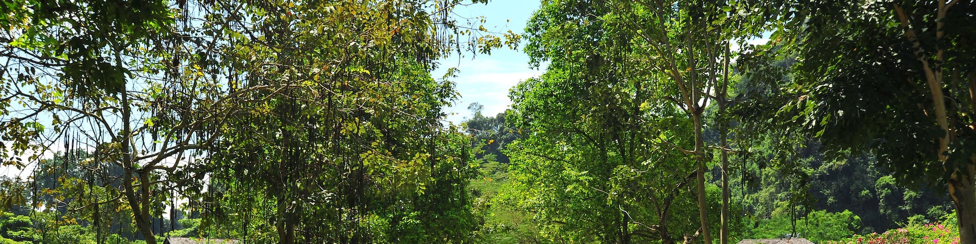 Ipoh which includes a park