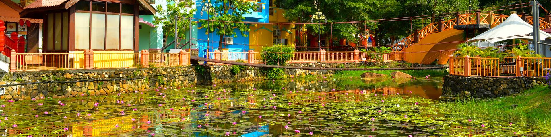 Langkawi which includes wildflowers and a pond