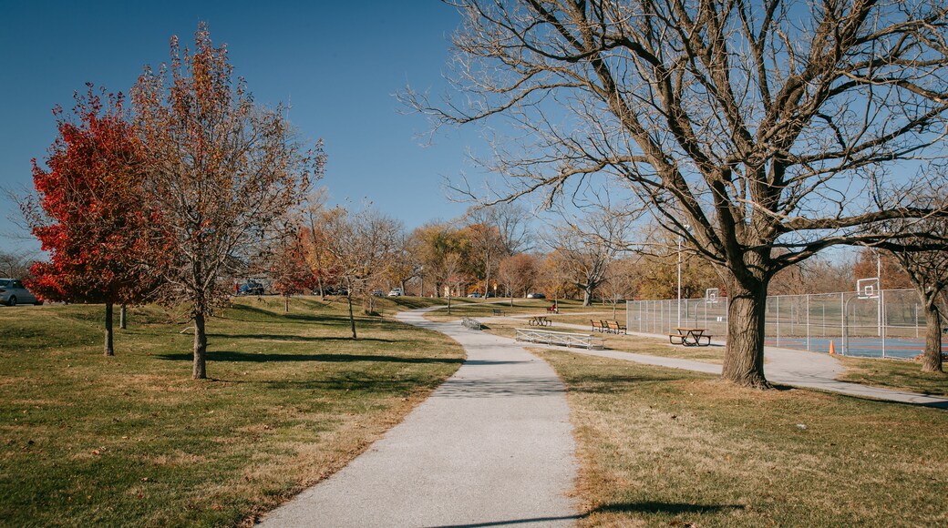 Druid Hill Park