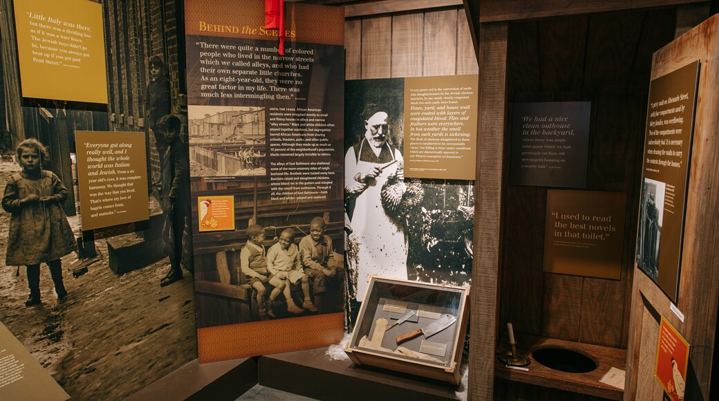 Jewish Museum of Maryland showing interior views and signage