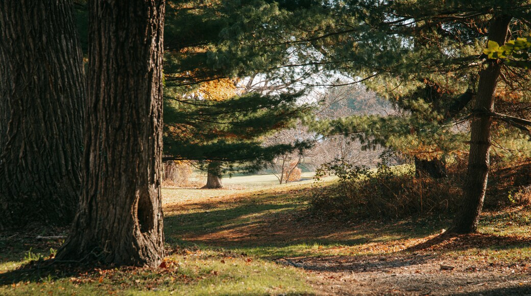 Druid Hill Park