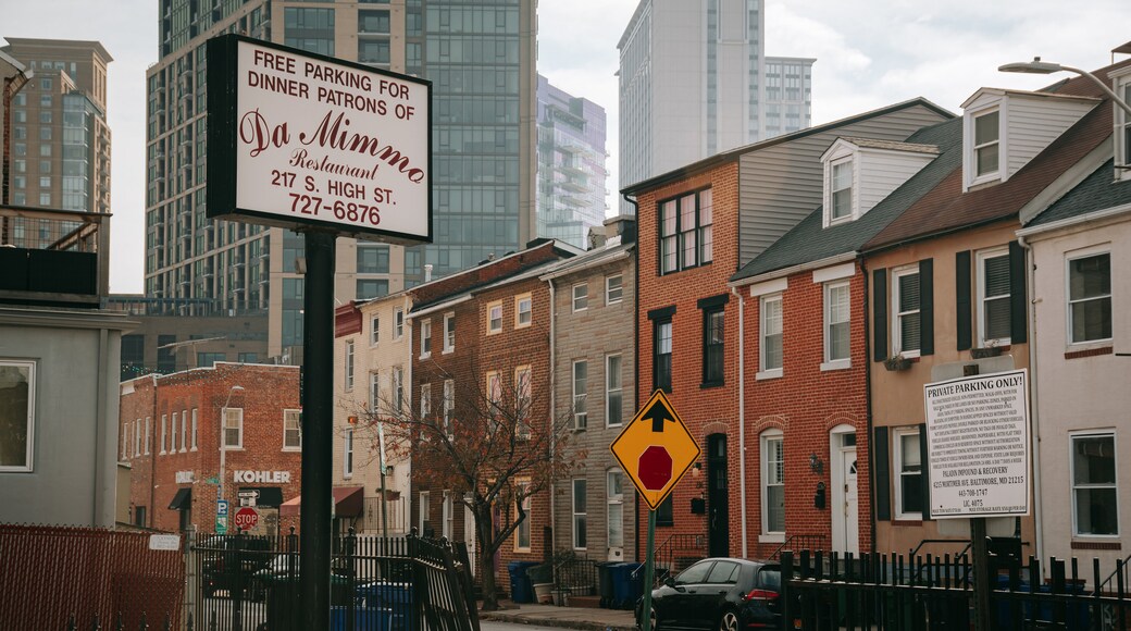 Little Italy which includes signage and a city