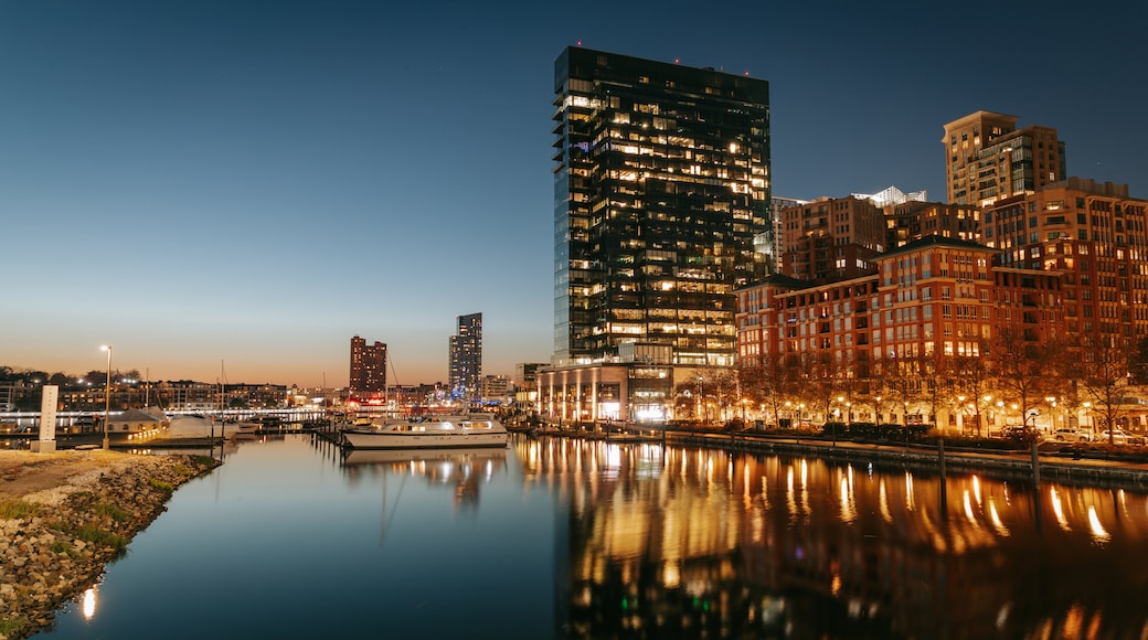 Baltimore showing night scenes, a bay or harbor and a city