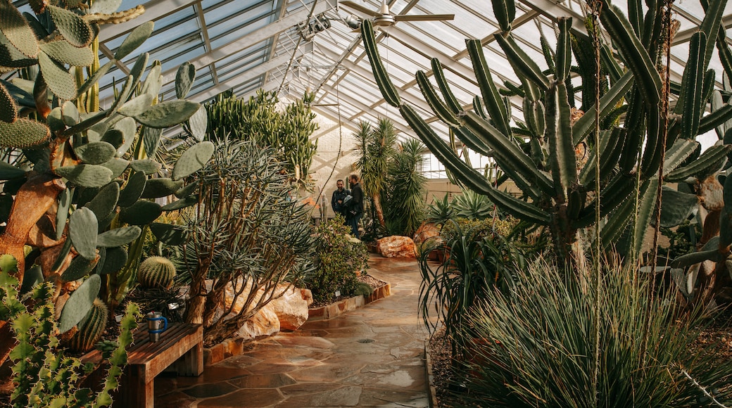 Howard Peters Rawlings Conservatory