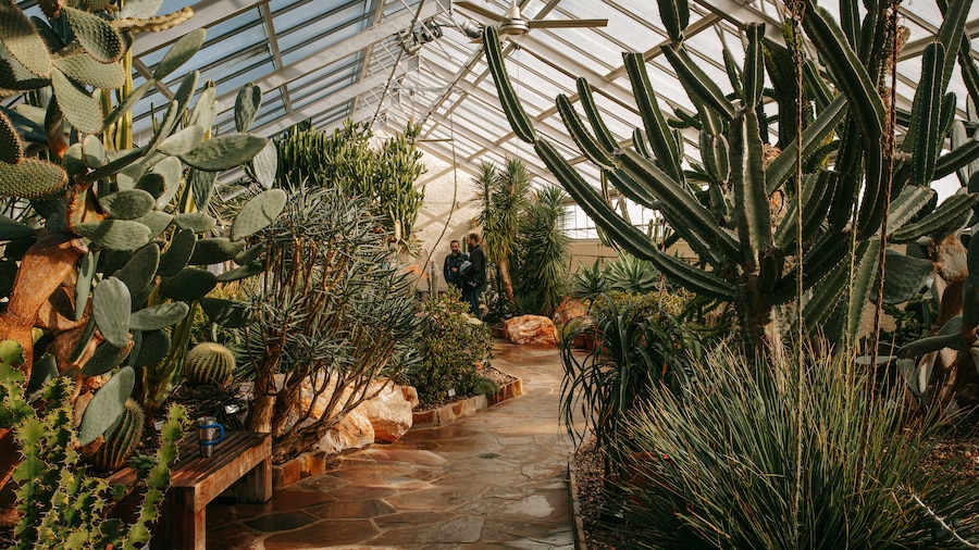 Baltimore Conservatory featuring a garden and interior views