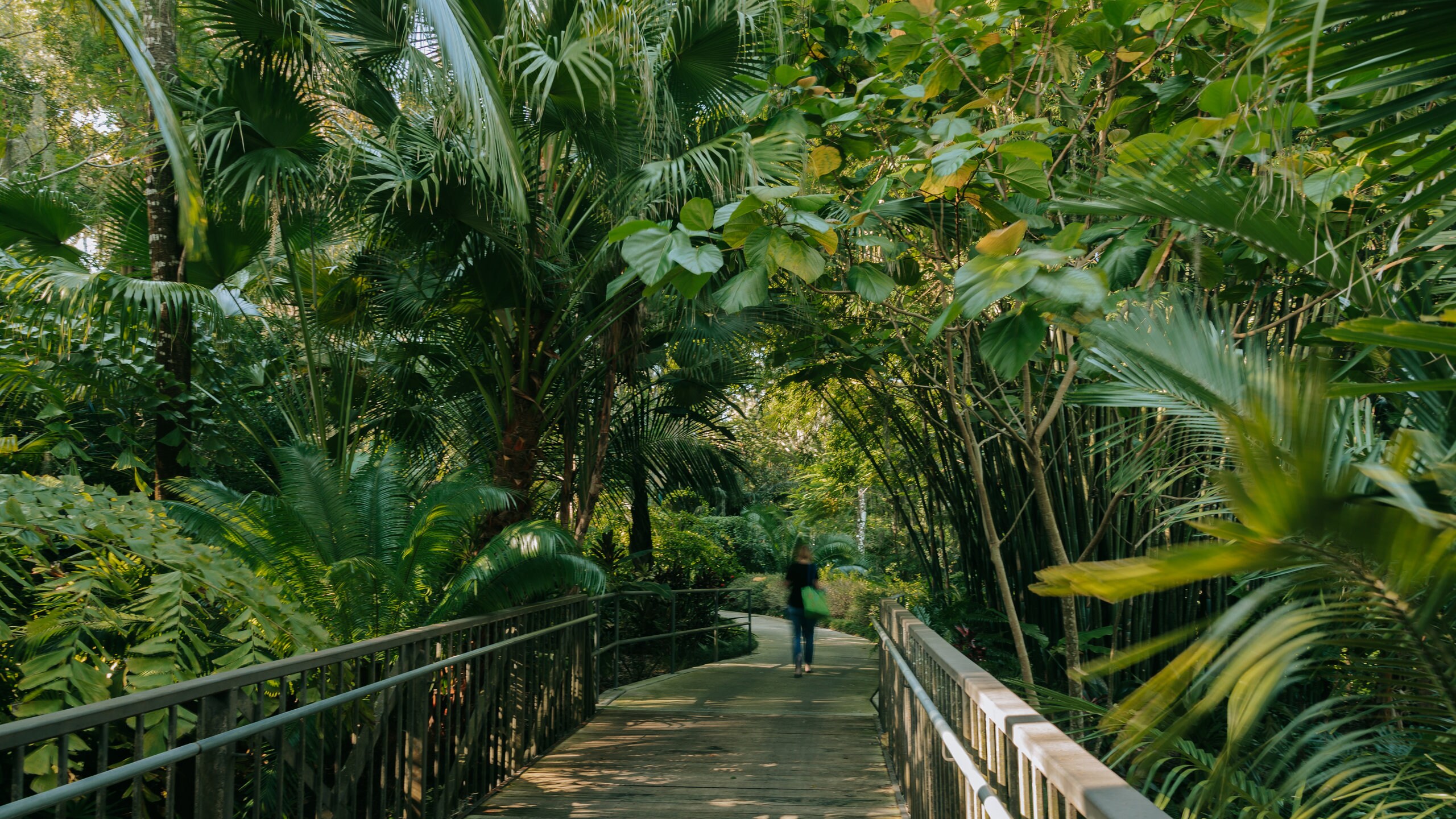 Rowena Gardens, Orlando Vacation Rentals house rentals & more Vrbo