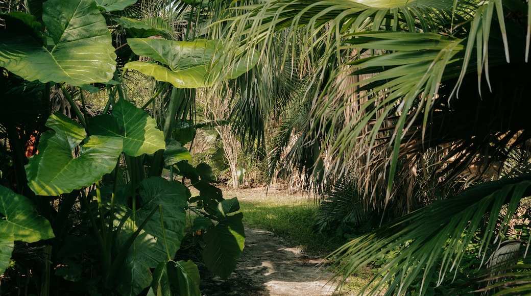 Jardín botánico Mead Garden