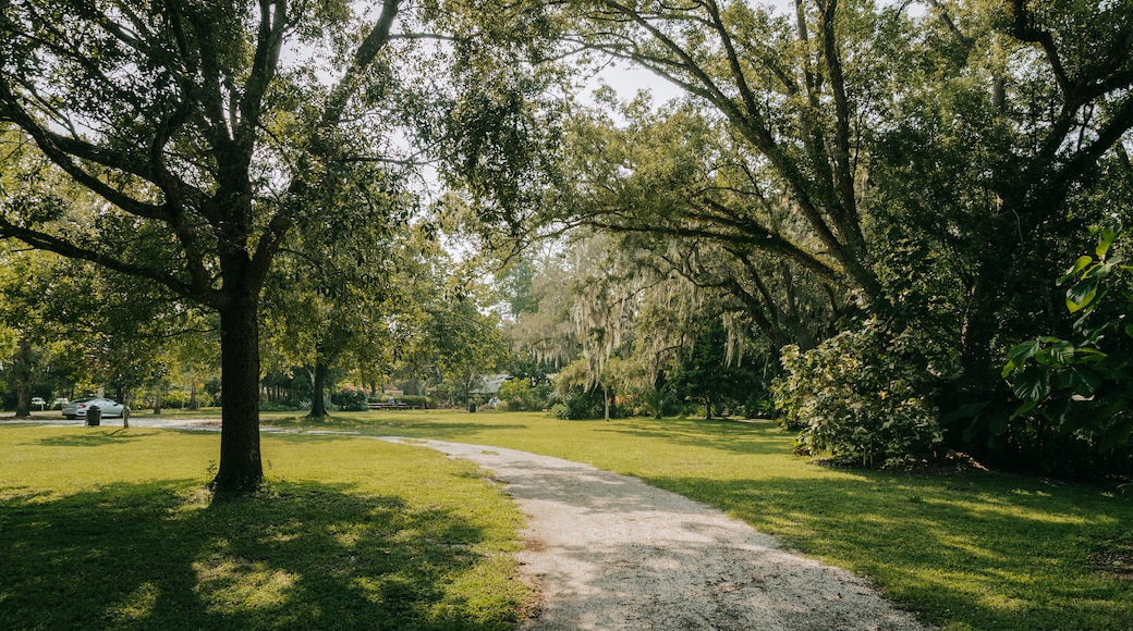 Mead Garden featuring a park