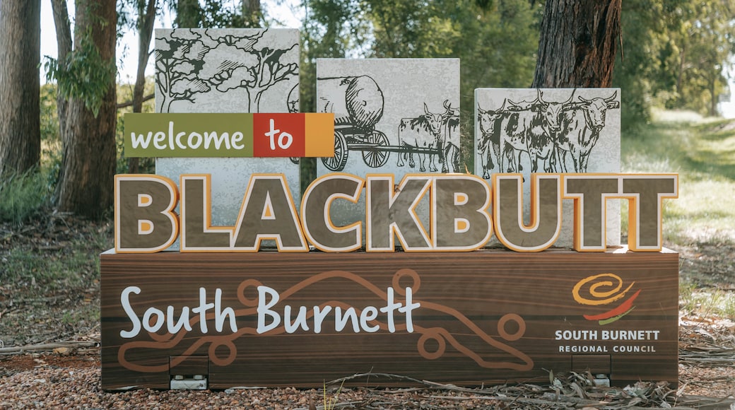 Blackbutt