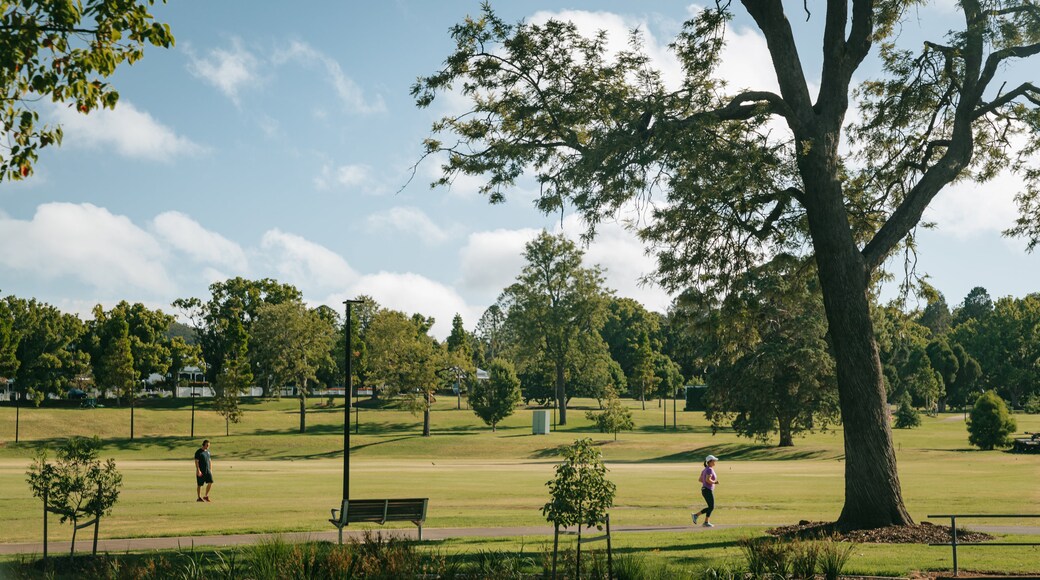 Queens Park showing a garden as well as an individual femail