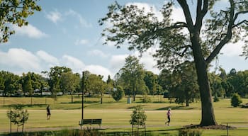 Queens Park showing a garden as well as an individual femail