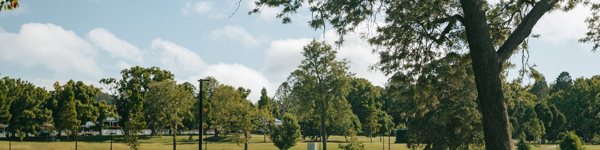 ์ด์คํธ ํฌ์๋ฐ, ํฌ์๋ฐ, ํธ์ฆ๋๋, ํธ์ฃผ