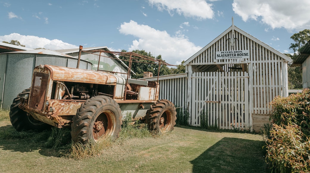 Highfields Pioneer Village which includes farmland and heritage elements