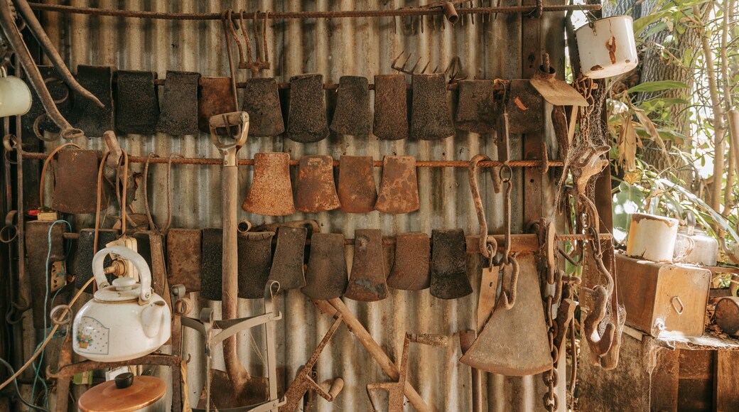 Highfields Pioneer Village showing heritage elements