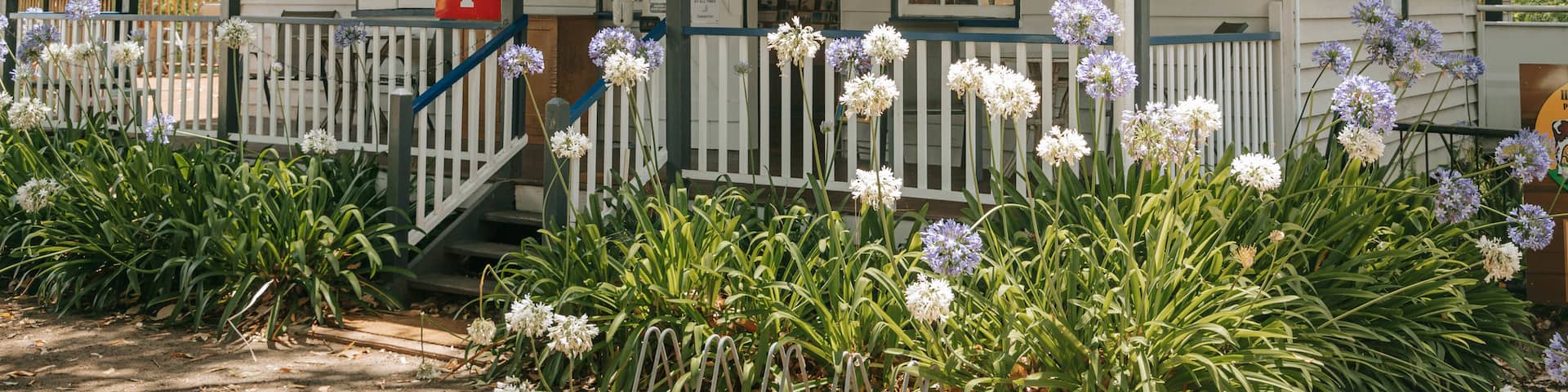 Highfields Pioneer Village which includes signage and flowers