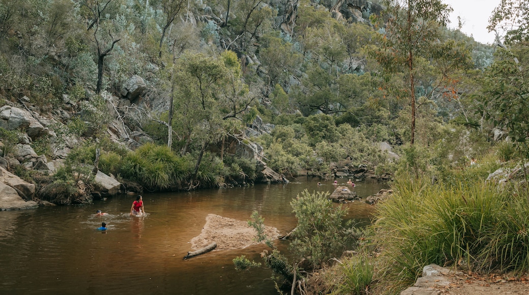 Crows Nest National Park