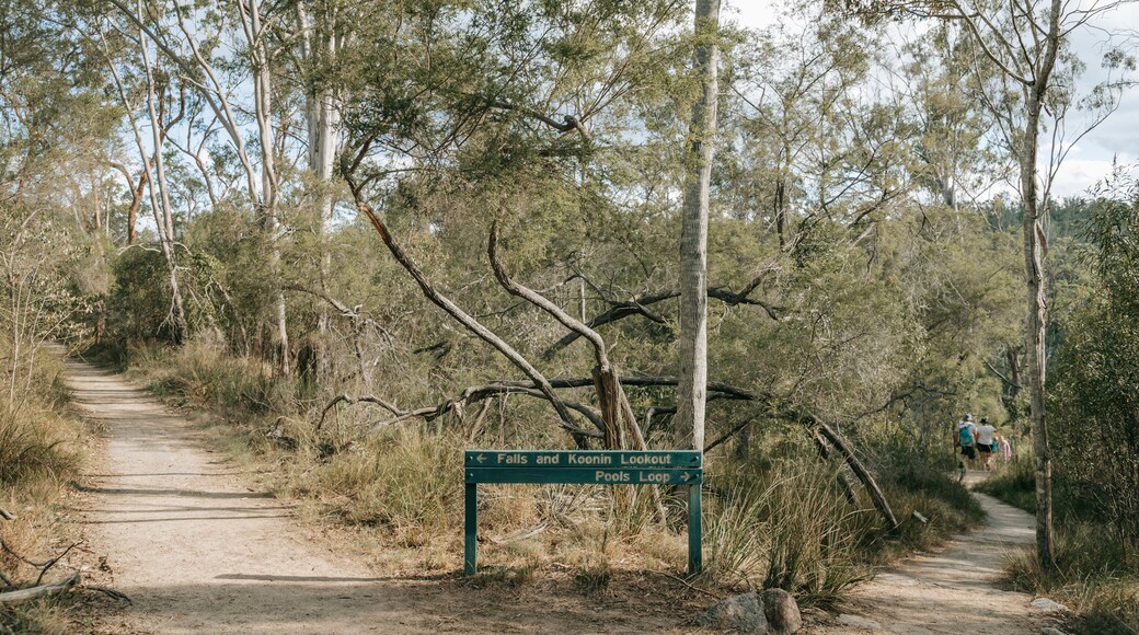 Crows Nest National Park
