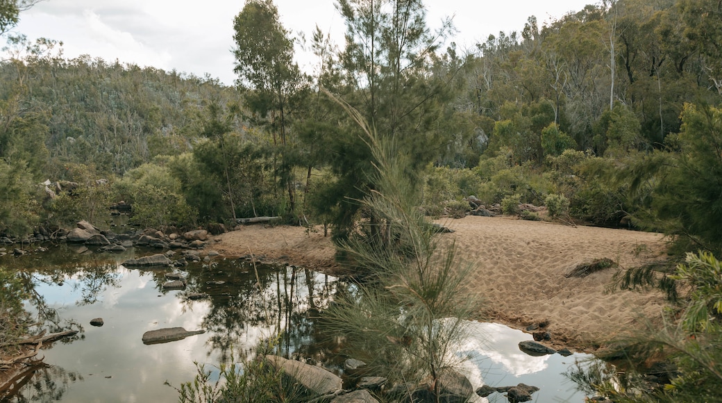 Crows Nest National Park