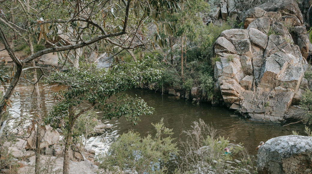 Crows Nest National Park