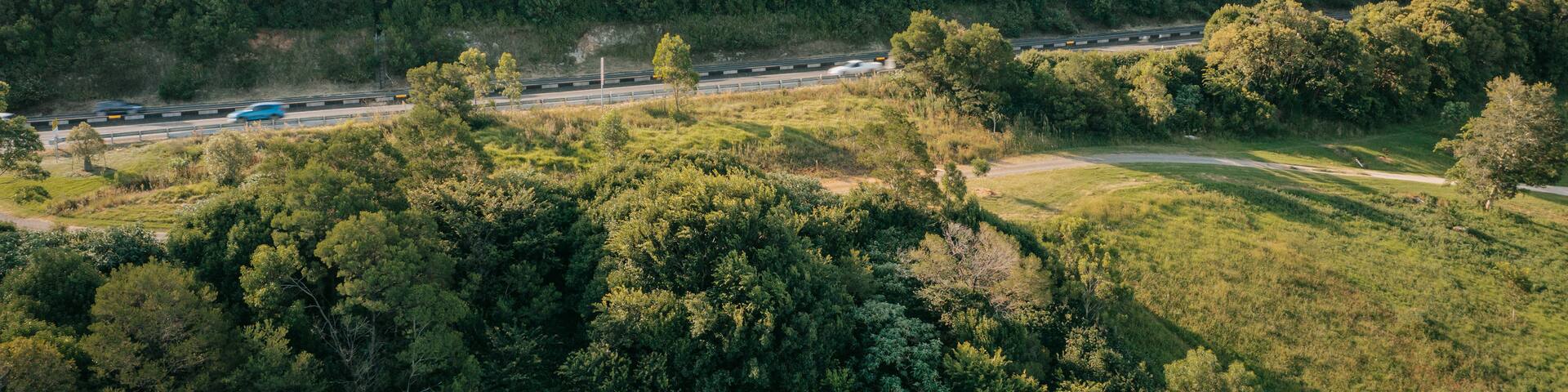 Mount Kynoch which includes tranquil scenes