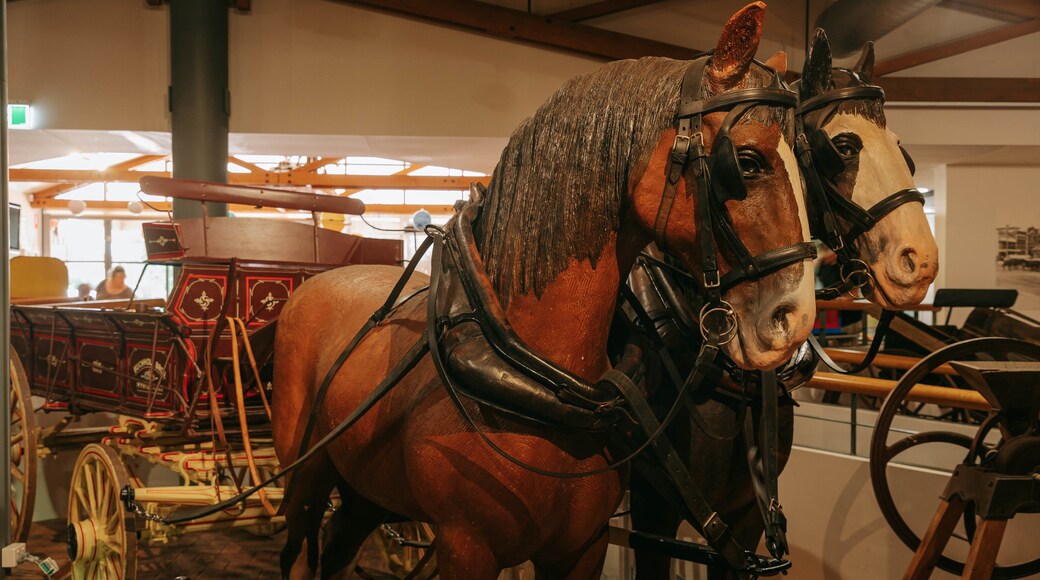 Cobb & Co Museum