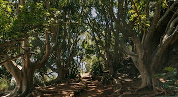 Picnic Point Park featuring a park