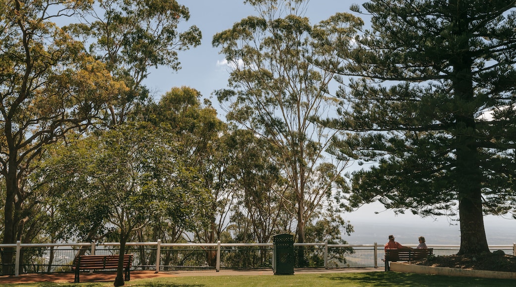 Picnic Point Park featuring a garden and views as well as a couple