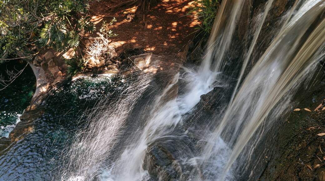 Picnic Point Park showing a river or creek and a cascade