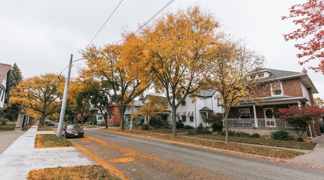 Walkerville