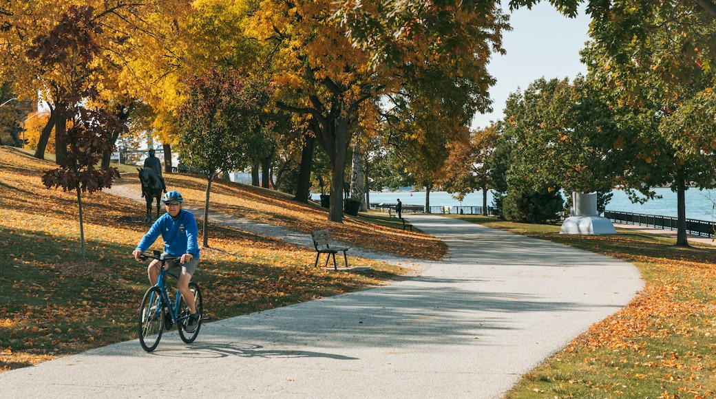 Windsor Riverfront which includes autumn leaves, cycling and a garden