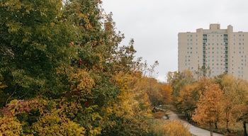 Bridgeview showing a garden and fall colors