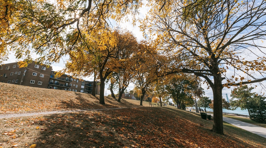 Windsor Riverfront featuring autumn leaves and a park