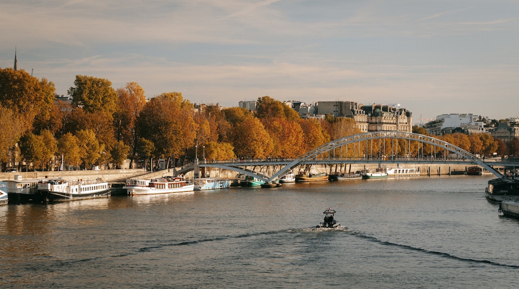 Passerelle Debilly showing boating, a bridge and fall colors