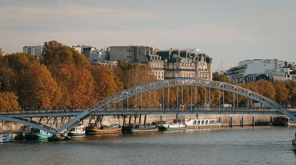 Passerelle Debilly featuring a river or creek, a bridge and a bay or harbor