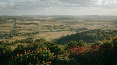 Preston featuring landscape views, wildflowers and tranquil scenes