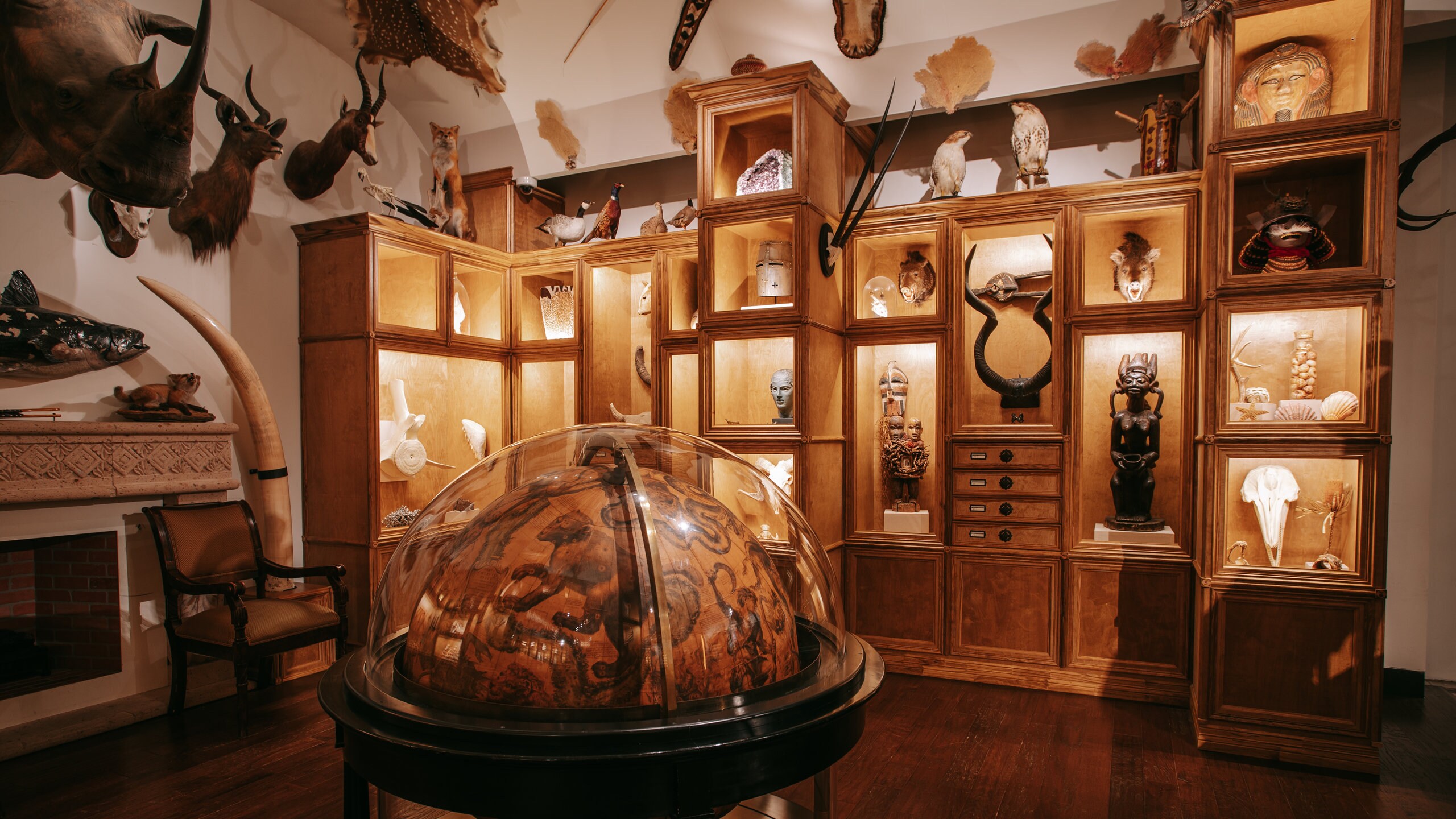 Houston Natural Science Museum Package Deals Orbitz