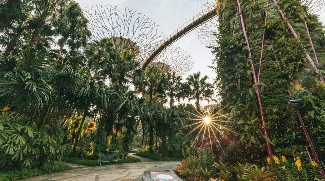 Marina Bay