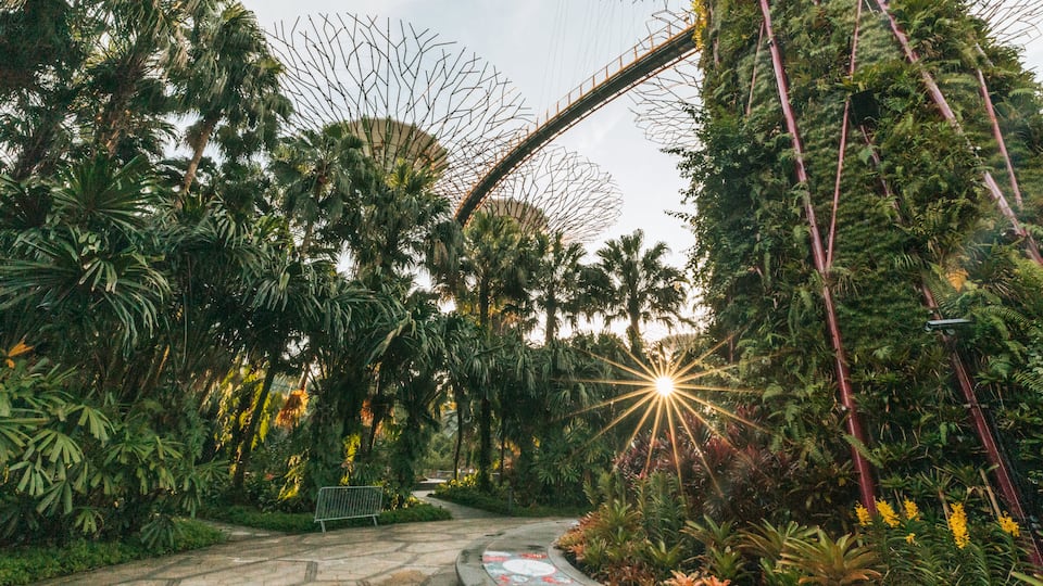 Gardens by the Bay featuring a garden and a sunset