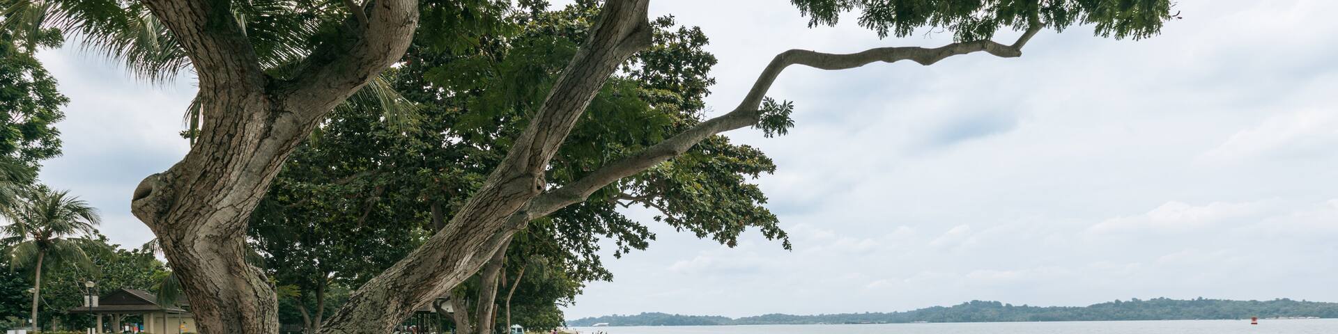 Changi which includes a beach and general coastal views as well as a couple